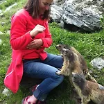 精英高山小屋 - 公寓&住宿加早餐酒店 4*