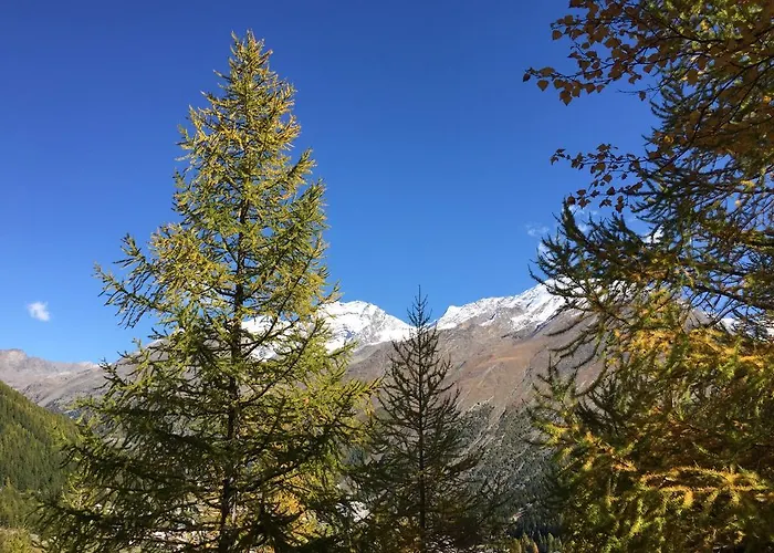 Hotel Elite Alpine - & Breakfast 4*