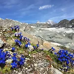 ホテル Elite Alpine - & Breakfast サース フェー