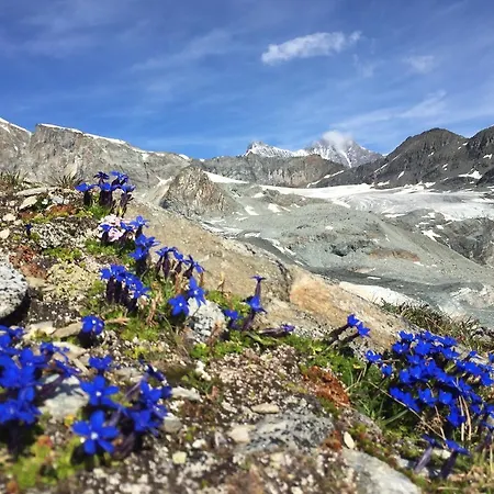 호텔 Elite Alpine - & Breakfast Saas Fee