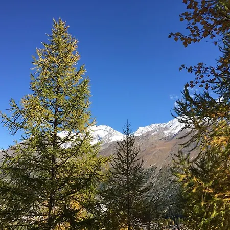 호텔 Elite Alpine - & Breakfast 4*